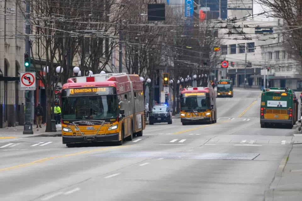 Buses in downtown Seattle on the dedicated 3rd Avenue bus lanes